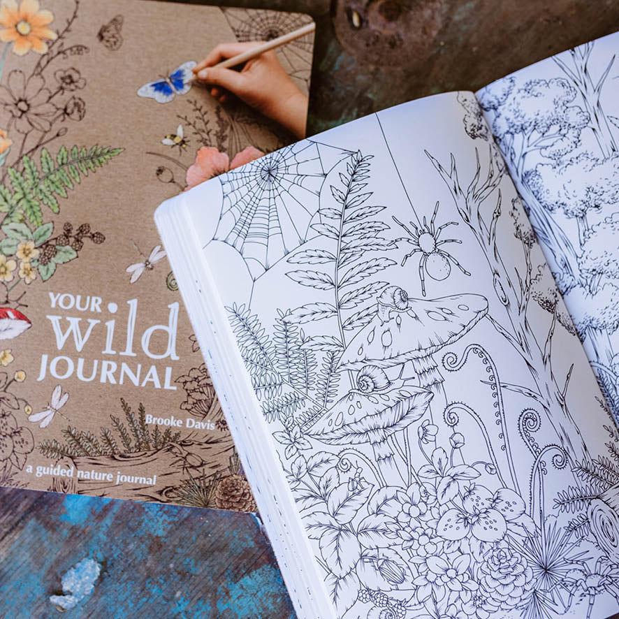 Your wild Journal