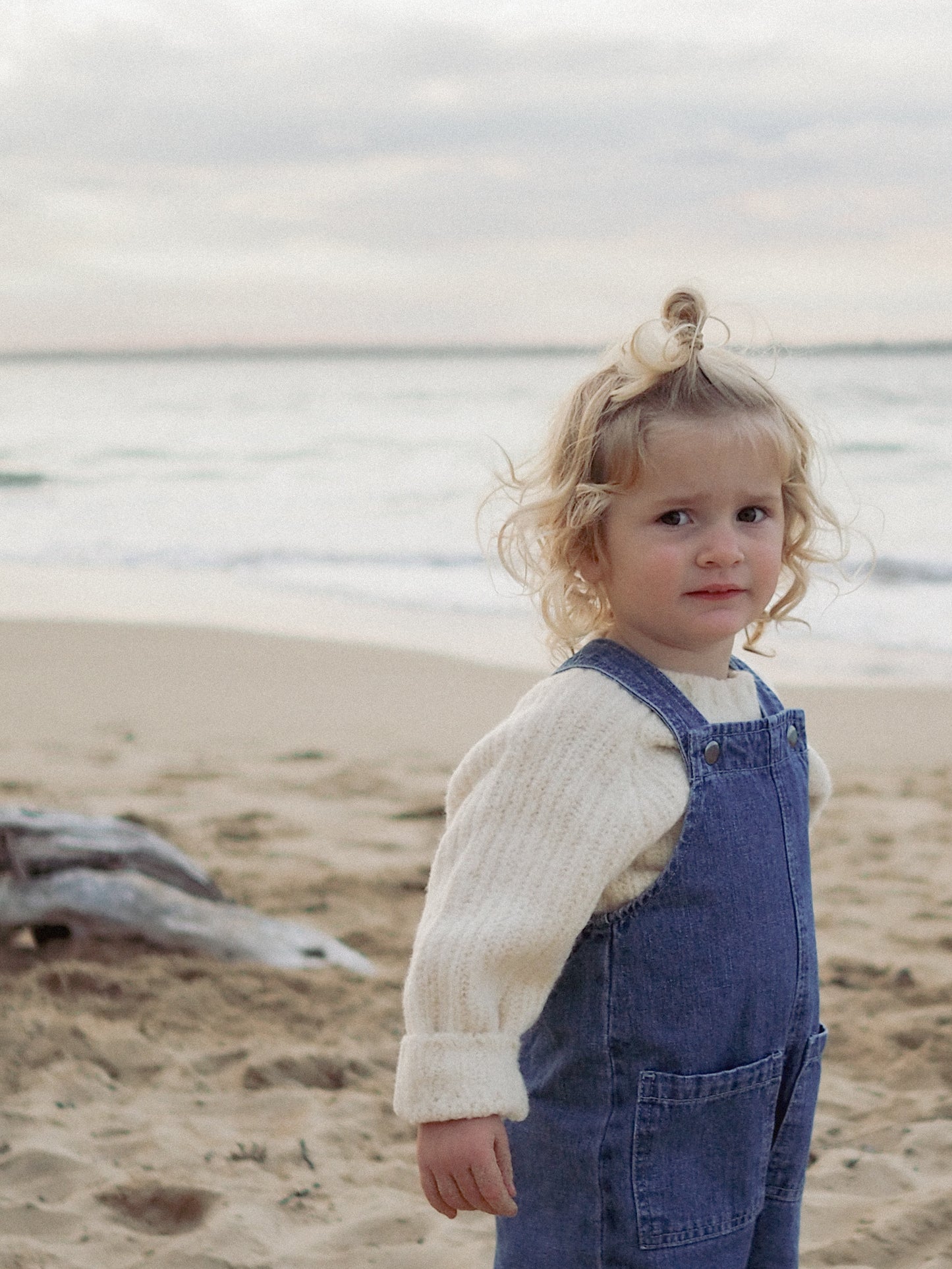 Everyday Hemp Denim Overalls